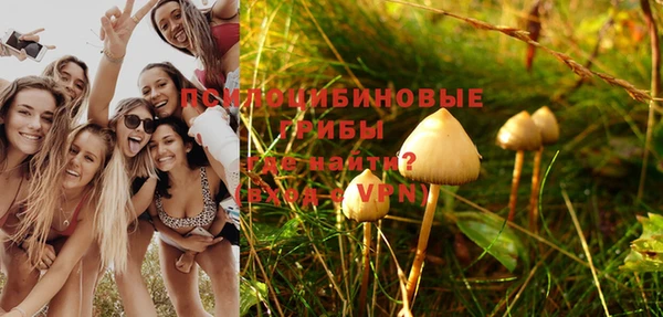 экстази Няндома