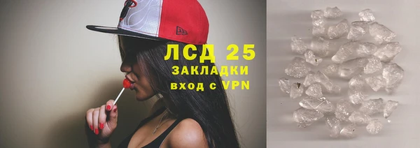 шишки Болотное