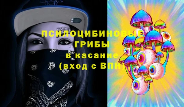 экстази Няндома
