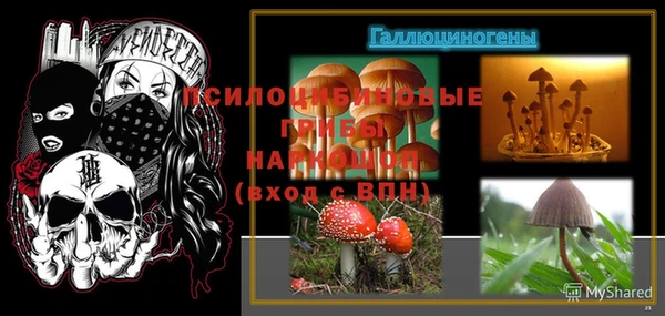 эйфоретик Нязепетровск