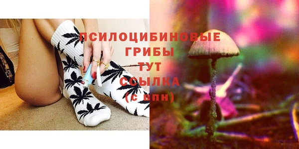 эйфоретик Нязепетровск