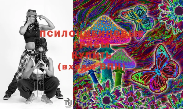 экстази Няндома