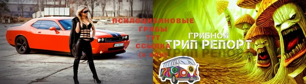 экстази Няндома