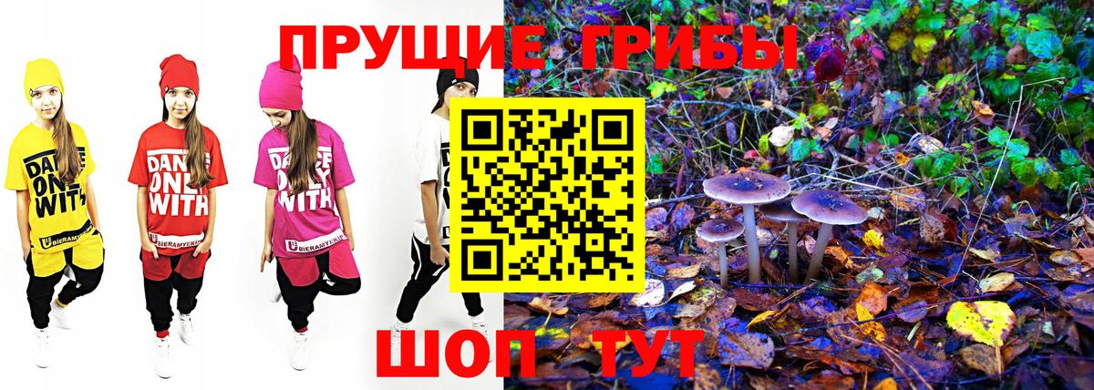 ЭКСТАЗИ Гурьевск