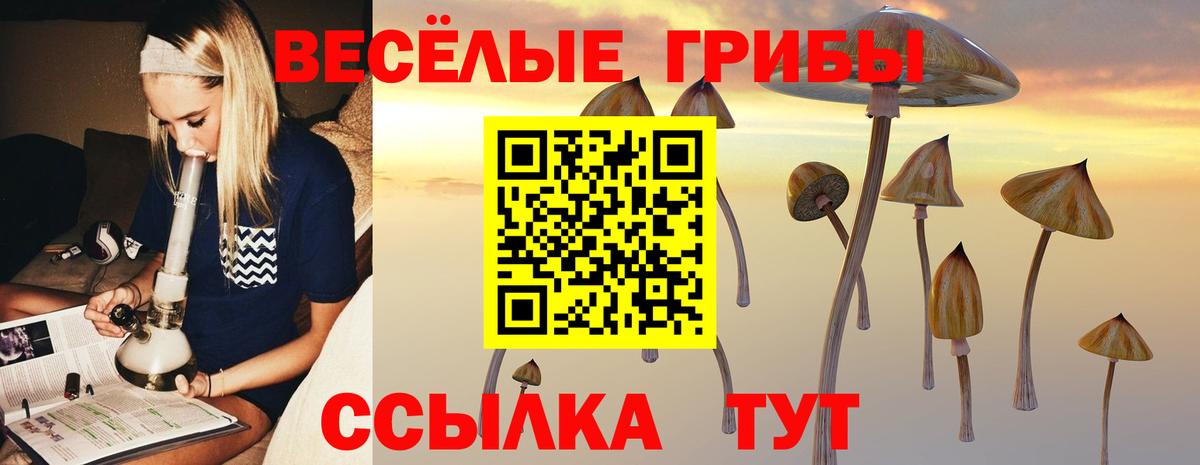 Галлюциногенные грибы Psilocybine cubensis  Вход с VPN  Гурьевск 