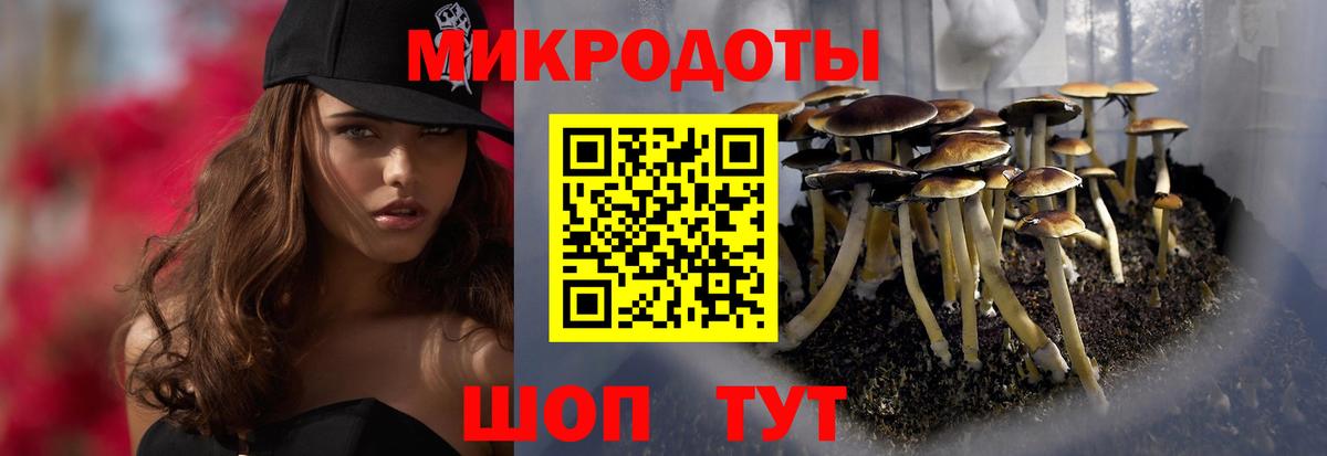 Галлюциногенные грибы прущие грибы Гурьевск